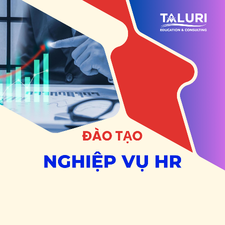 Taluri company - Tư vấn và Đào tạo HR