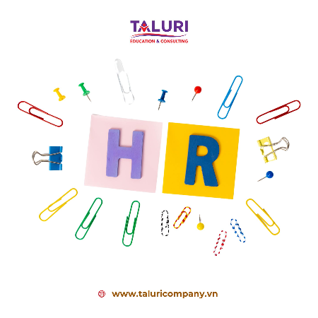 Kiến thức - HR tổng hợp cần biết những gì để đi làm ngay?